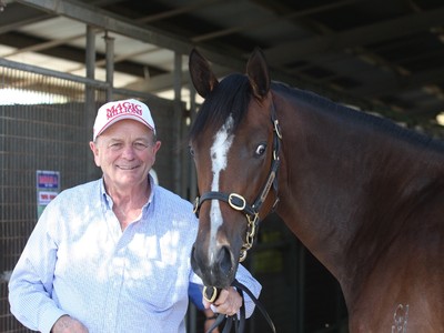 Gerry Harvey: An Air Of Satisfaction In Breeding Champions Image 1